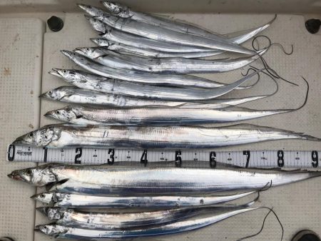 タチウオジギング  サーベリング