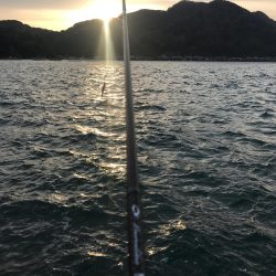 舞鶴から伊根までのランガンエギング