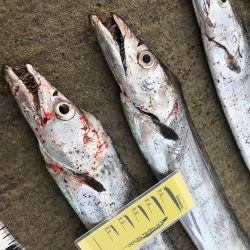 やったりましたドラゴン3匹!