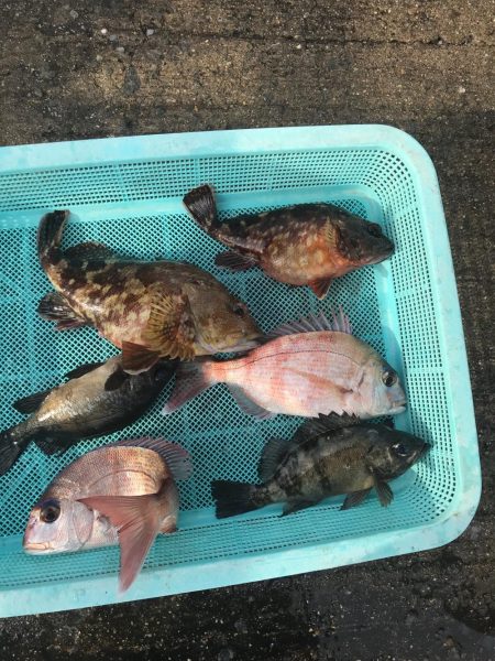 フィッシングハード5   2017