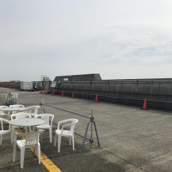 エビ撒きからのカゴ釣り