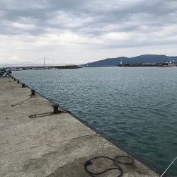 キスは一体何処へ？