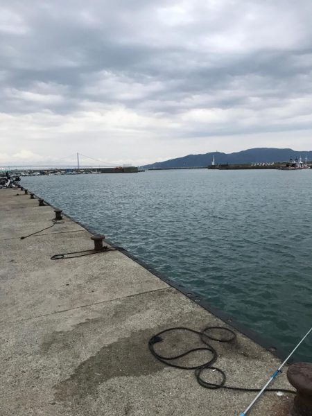 キスは一体何処へ？