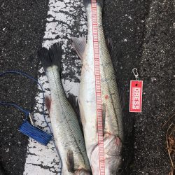 三部テトラは遠すぎる