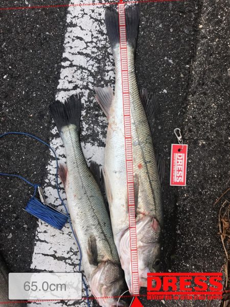 三部テトラは遠すぎる