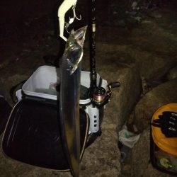 ボウズ逃れの1本