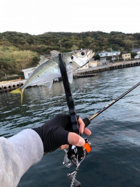 佐田岬遠征最終日