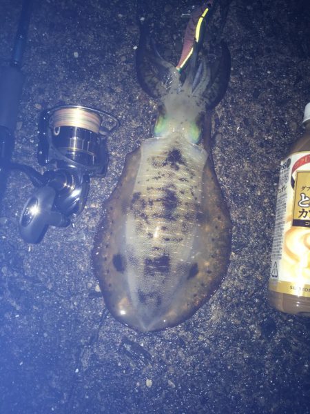 厳しかったです