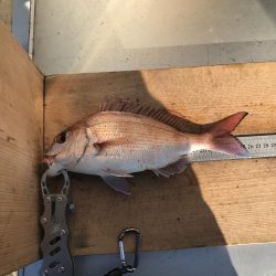 今日はチャリコのみ(;_;)