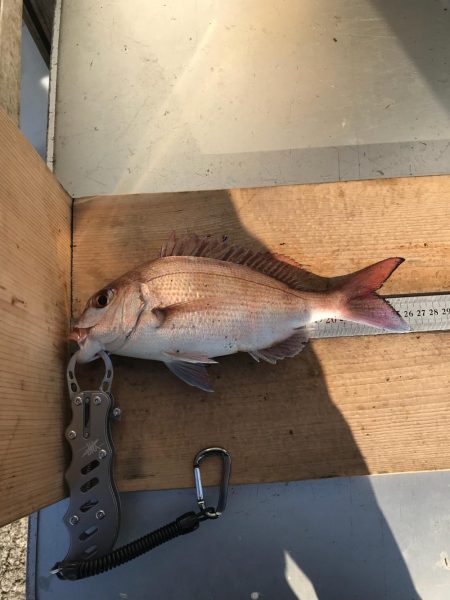 今日はチャリコのみ(;_;)