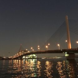 アジ、タチウオ狙い