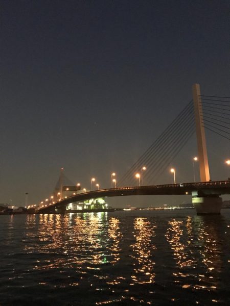 アジ、タチウオ狙い