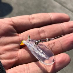 渋潮サイクリング