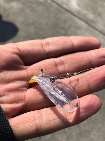 渋潮サイクリング