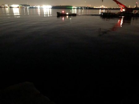 プチパラダイス(^^)数釣り楽しめました。