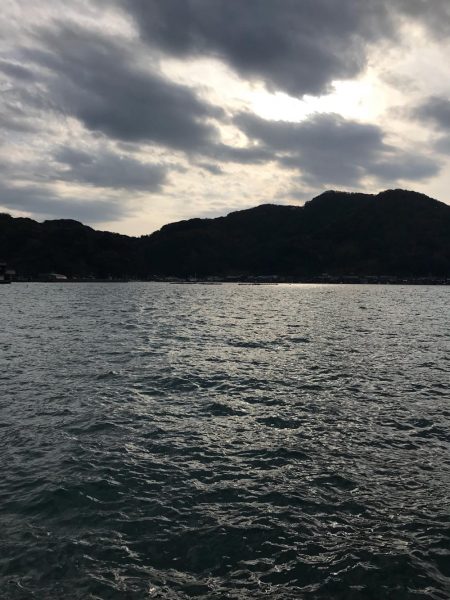 ヤリイカ調査第2弾