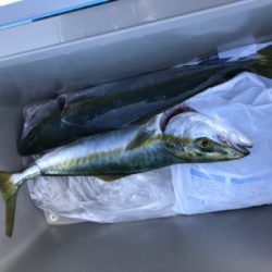 全員同時ヒット