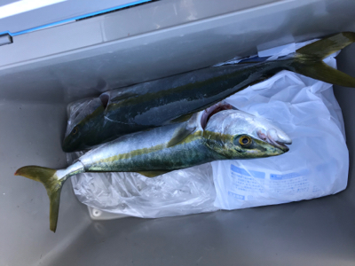 全員同時ヒット