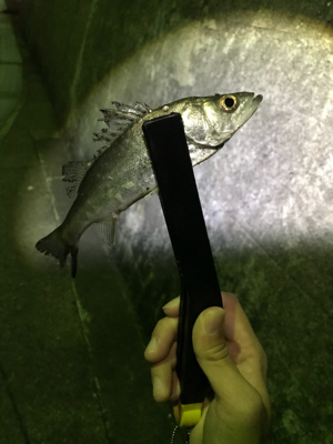 五目ライトゲーム