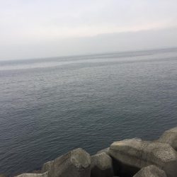 長いナブラは無いけど