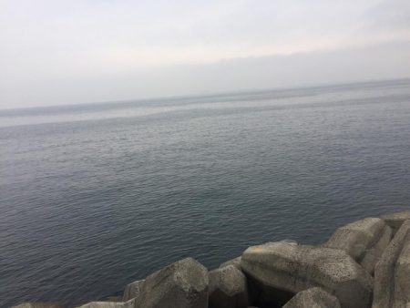 長いナブラは無いけど