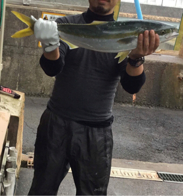 ハマチ卒業！メジロ入学！！