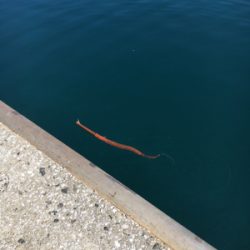 上がるまでわからなかった