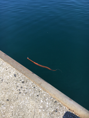 上がるまでわからなかった