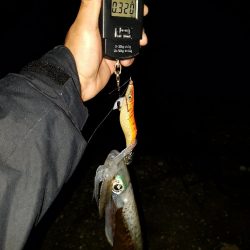 ちょいエギング