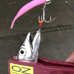 何にでも反応が良かった。