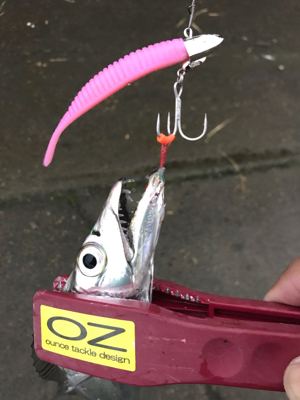 何にでも反応が良かった。