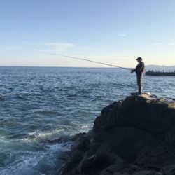 メジナ釣れました