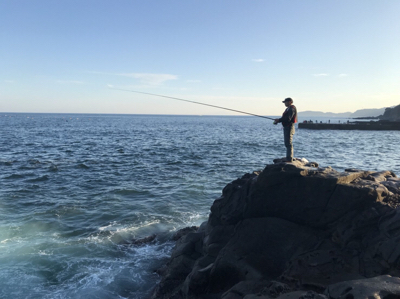 メジナ釣れました