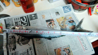 ハマチ渋いねぇ