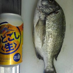 エギング終盤戦　メバリング開幕