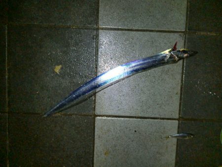 三連休初日の朝釣行