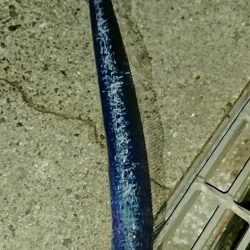 釣り部 釣行記 6