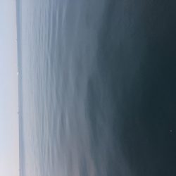 護岸は終了ですね