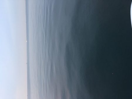 護岸は終了ですね