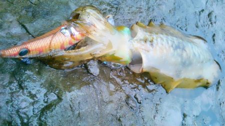 山はゆき～寒～！