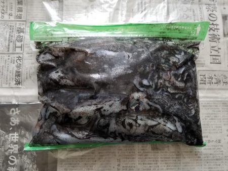 浅川マキ沖堤防にて