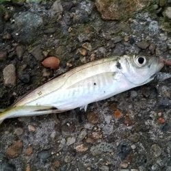 やっとの思いで