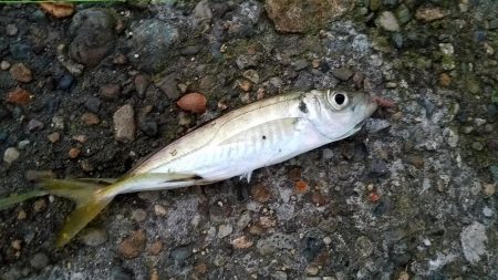 やっとの思いで