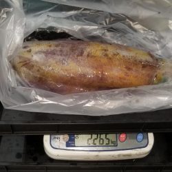 今シーズン初2キロアップ