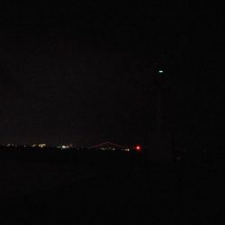 タチウオの地合い短いですね