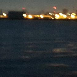 サヨリ大当たり！