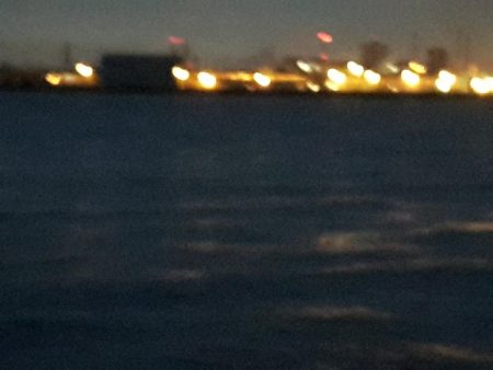 サヨリ大当たり！