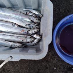 アタリはあるけど小さい