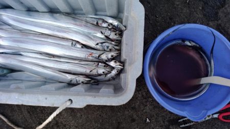 アタリはあるけど小さい