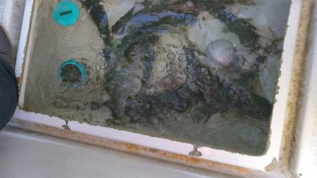 ジギング反応悪し